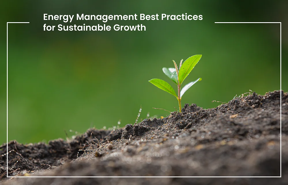 Energy Management Best Practices for Sustainable Growth